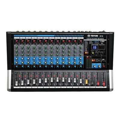 Audio Interface - TEYUN E12 Grote professionele 12-kanaals geluidskaart
