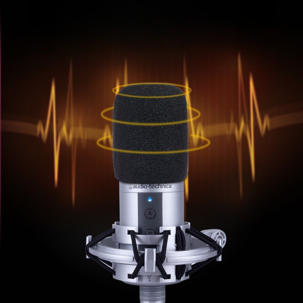 2 STKS AT2020 Microfoon Voorru - Ribbon Microphone recensie en prijs