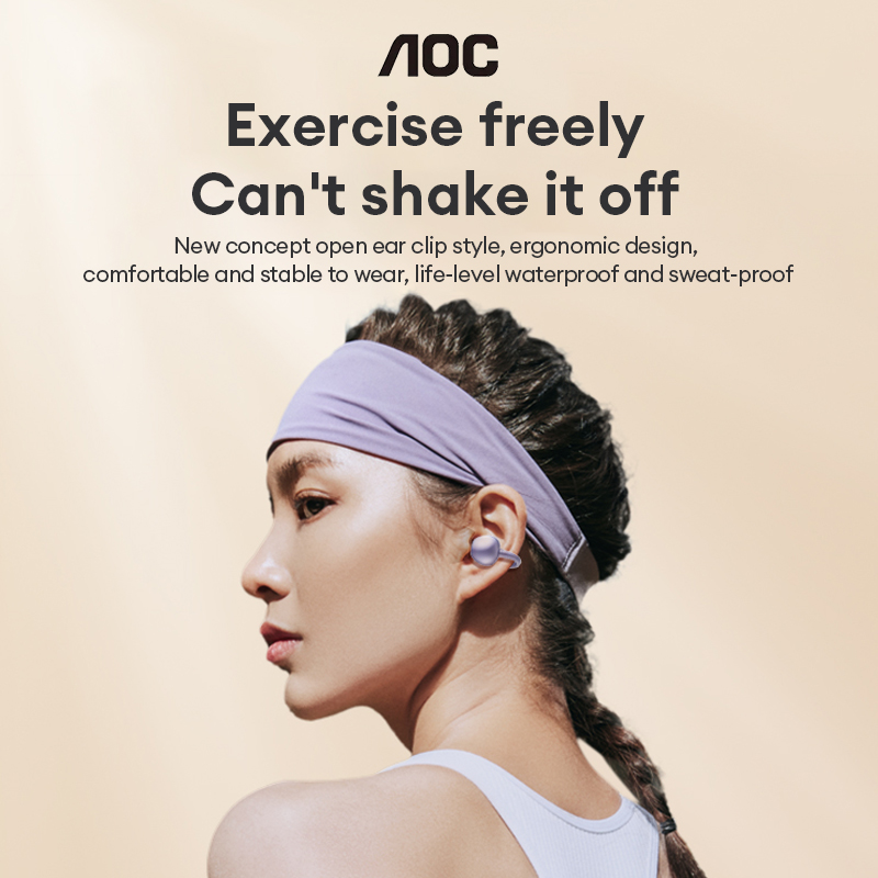 AOC ACD2544 Draadloze Bluetoot - Audio Cable Rca recensie en prijs