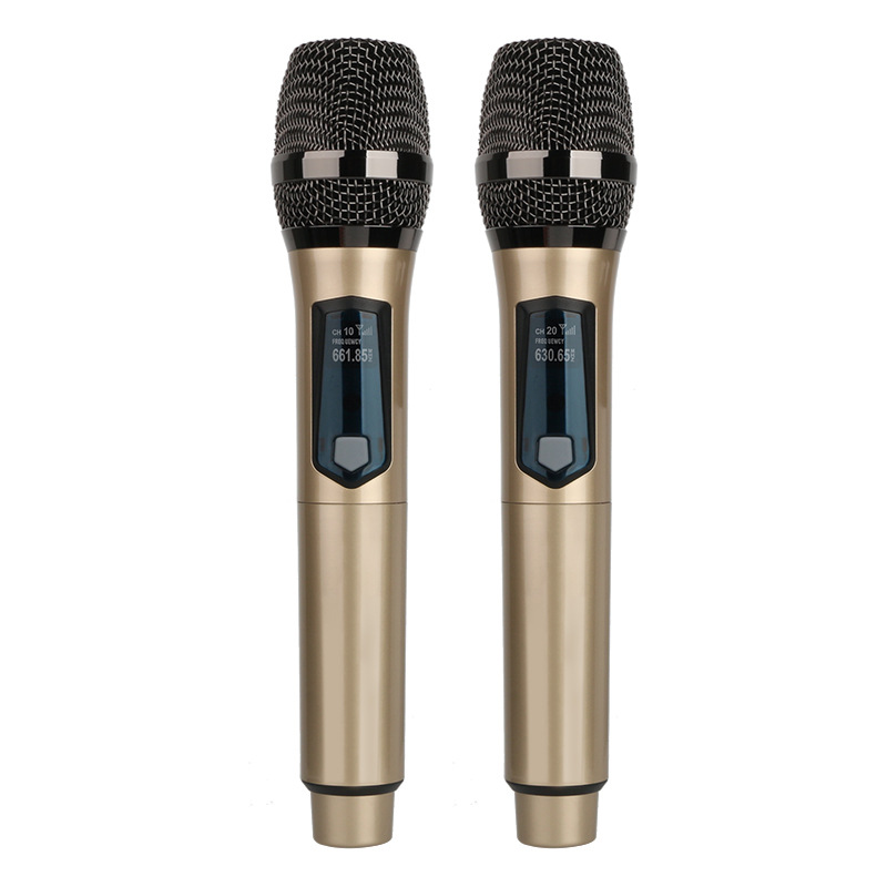 Draadloze microfoon 2 kanalen  - Ribbon Microphone recensie en prijs