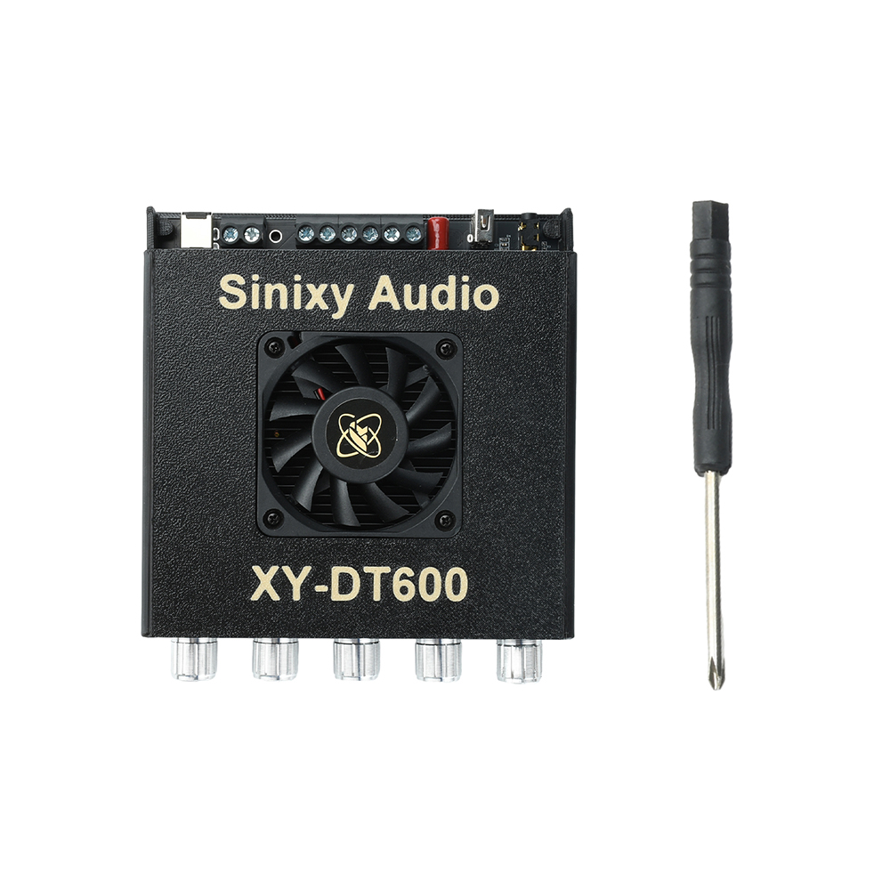 XY Dt600 2.1CH Bluetooth-verst - Es9018 Dac recensie en prijs