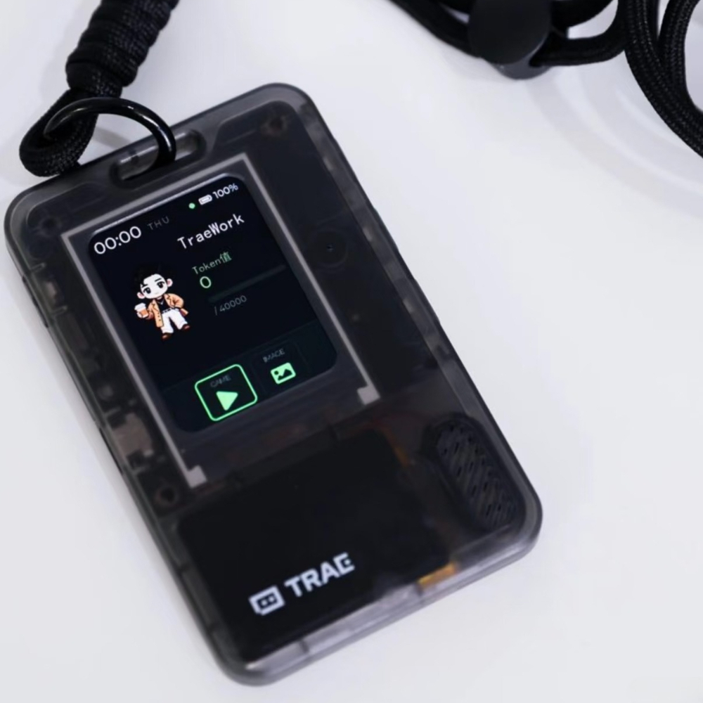 FoloToy AI PASSPORT Elektronis - Diy Speaker recensie en prijs